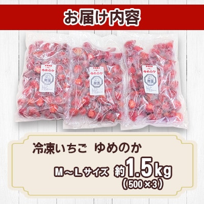 冷凍いちご「ゆめのか」 M-Lサイズ 約1.5kg(500g×3)