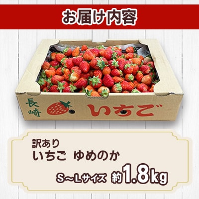 2026年2月より順次発送 【訳あり】いちご「ゆめのか」 S-Lサイズ 約1.8kg