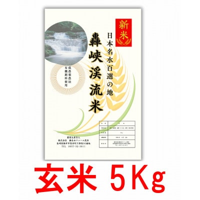 令和7年産　にこまる　玄米　5kg　長崎県諫早市産