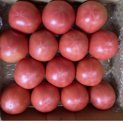 大玉トマト 計3.6kg 長崎県産