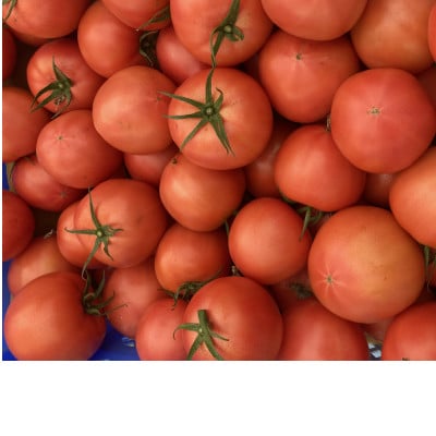 大玉トマト 計3.6kg 長崎県産