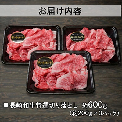 【A4～A5ランク】長崎和牛 特選切り落とし 約600g(約200g×3パック)(諫早市)