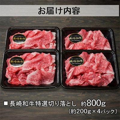 【A4～A5ランク】長崎和牛 特選切り落とし 約800g(約200g×4パック)(諫早市)