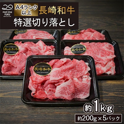 【A4～A5ランク】長崎和牛 特選切り落とし 約1kg(200g×5パック)(諫早市)