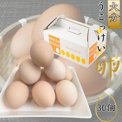 【地元ブランド】大分うこっけい卵30個