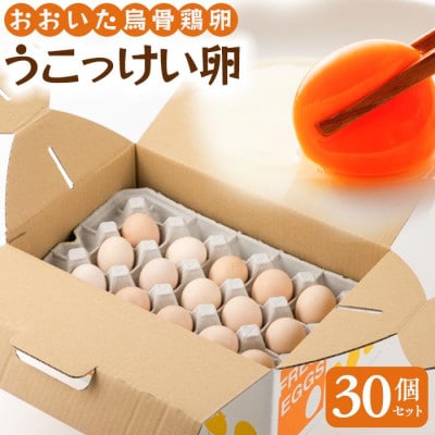 【地元ブランド】大分うこっけい卵30個