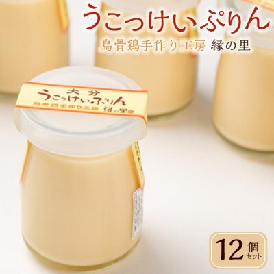 大分うこっけいプリン12個