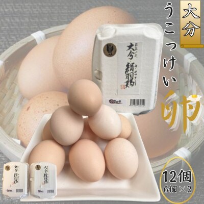 【地元ブランド】大分うこっけい卵12個(6個×2パック)