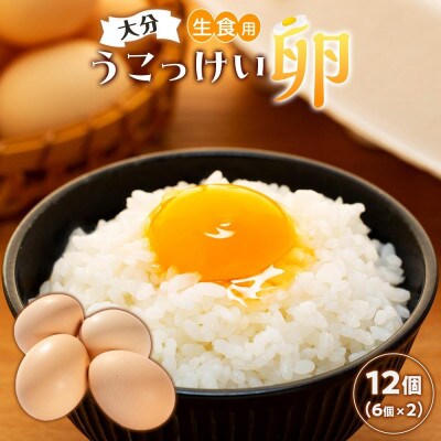 【地元ブランド】大分うこっけい卵12個(6個×2パック)
