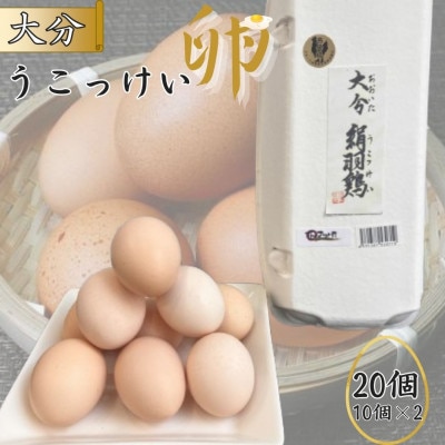 【地元ブランド】大分うこっけい卵20個(10個×2パック)