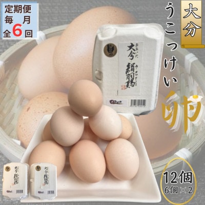 【毎月定期便】【地元ブランド】大分うこっけい卵12個(6個×2パック)全6回