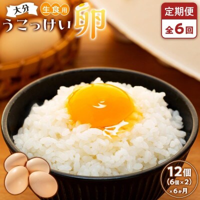 【毎月定期便】【地元ブランド】大分うこっけい卵12個(6個×2パック)全6回