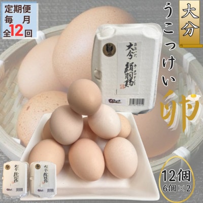 【毎月定期便】【地元ブランド】大分うこっけい卵12個(6個×2パック)全12回