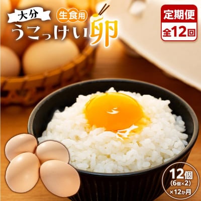 【毎月定期便】【地元ブランド】大分うこっけい卵12個(6個×2パック)全12回