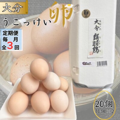 【毎月定期便】【地元ブランド】大分うこっけい卵20個(10個×2パック)全3回