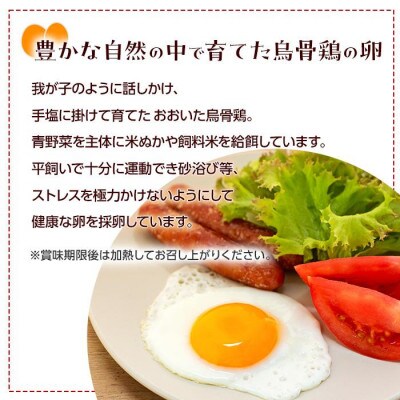 【毎月定期便】【地元ブランド】大分うこっけい卵20個(10個×2パック)全3回