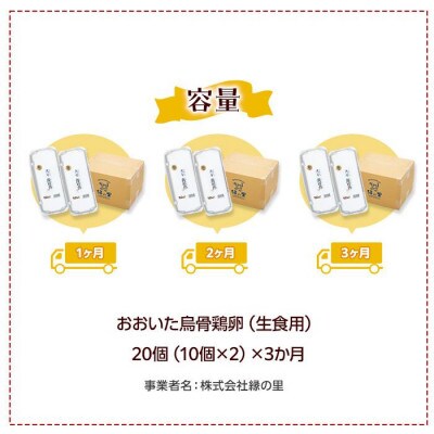 【毎月定期便】【地元ブランド】大分うこっけい卵20個(10個×2パック)全3回