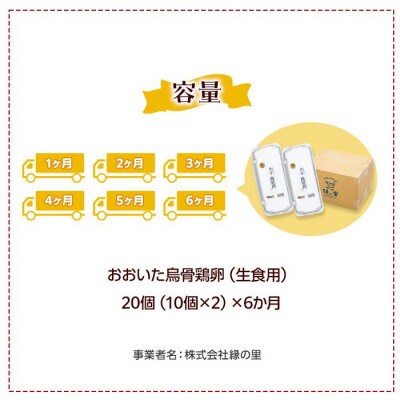 【毎月定期便】【地元ブランド】大分うこっけい卵20個(10個×2パック)全6回
