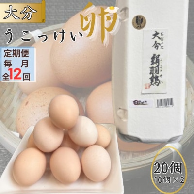 【毎月定期便】【地元ブランド】大分うこっけい卵20個(10個×2パック)全12回