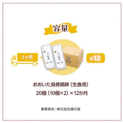【毎月定期便】【地元ブランド】大分うこっけい卵20個(10個×2パック)全12回