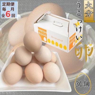 【毎月定期便】【地元ブランド】大分うこっけい卵30個全6回