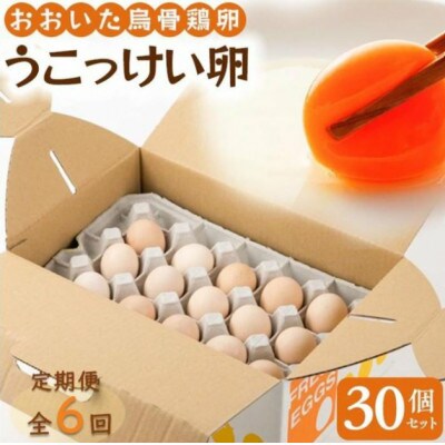 【毎月定期便】【地元ブランド】大分うこっけい卵30個全6回