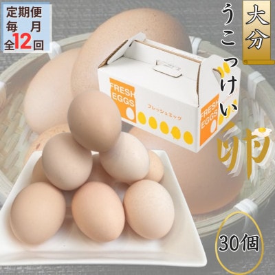 【毎月定期便】【地元ブランド】大分うこっけい卵30個全12回