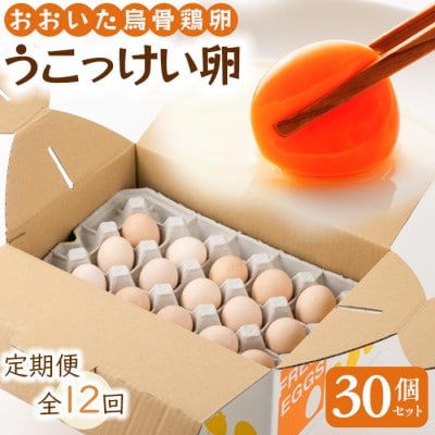 【毎月定期便】【地元ブランド】大分うこっけい卵30個全12回