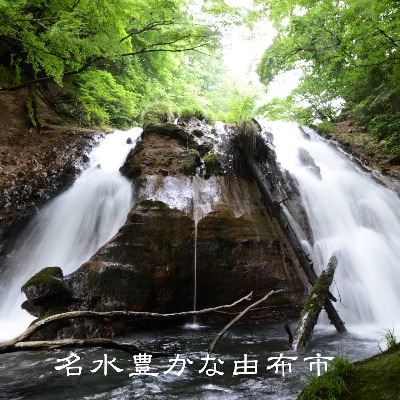 【ゆふの蔵元直送】湯布院をご自宅に。地産麦焼酎 3本セット