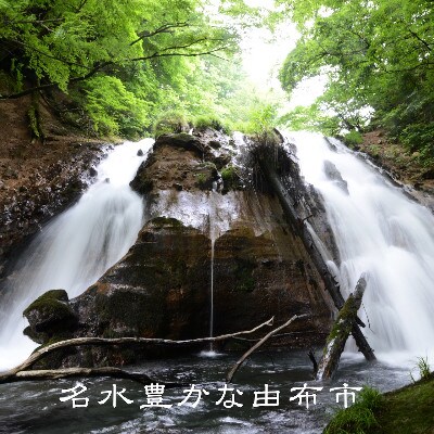 【2ヵ月毎定期便】【ゆふの蔵元直送】湯布院をご自宅に。地産麦焼酎 3本セット全3回