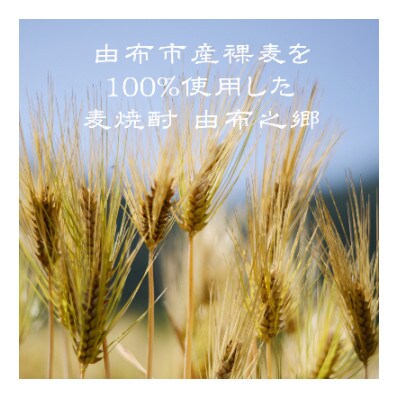 【毎月定期便】【ゆふの蔵元直送】湯布院をご自宅に。地産麦焼酎 3本セット全6回