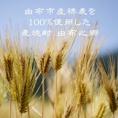 【毎月定期便】【ゆふの蔵元直送】湯布院をご自宅に。地産麦焼酎 3本セット全12回