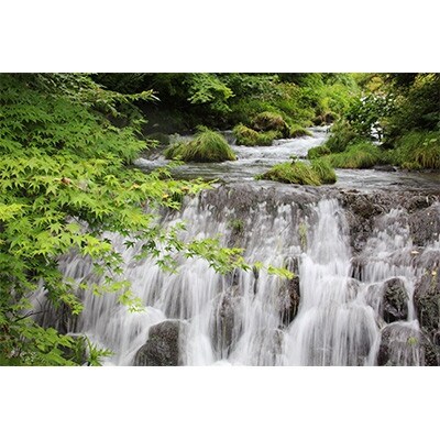 【毎月定期便】天然炭酸水　Silica99　500ml×24本全3回