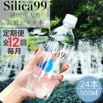 【毎月定期便】天然炭酸水　Silica99　500ml×24本全12回