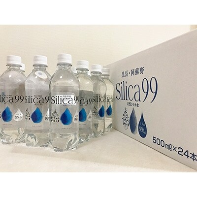 【2ヵ月毎定期便】天然炭酸水　Silica99　500ml×24本全6回