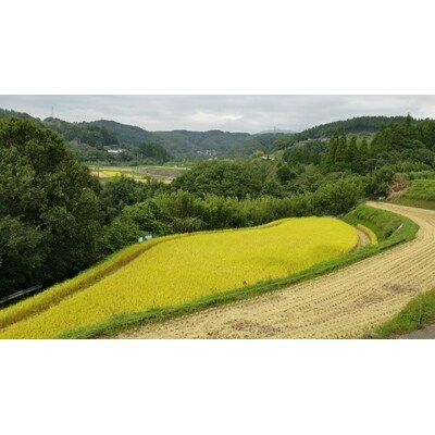 大分県産ひのひかり【ゆふ清流米】　7分つき　5kg