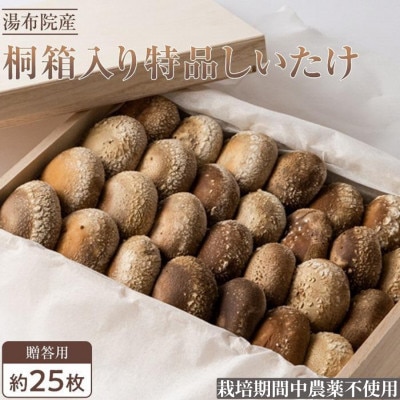【全国銅賞受賞】贈答用 桐箱入り特品しいたけ(約400g・サイズ混合約25枚) 栽培期間中農薬不使用
