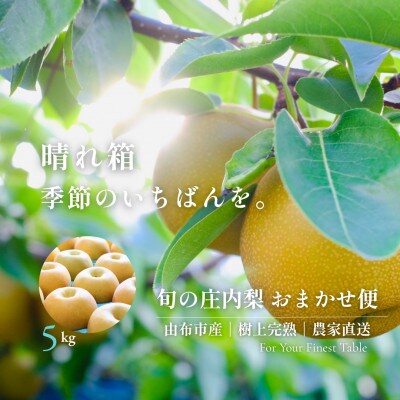【晴れ箱】由布市産 庄内梨 約5kg|旬のおまかせ便・樹上完熟・農家直送・期間限定|庄内梨の藤原