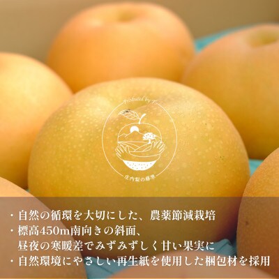 【晴れ箱】由布市産 庄内梨 約5kg|旬のおまかせ便・樹上完熟・農家直送・期間限定|庄内梨の藤原