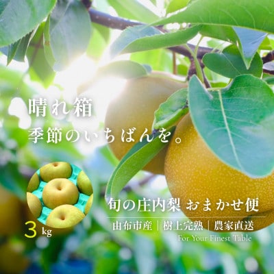 【晴れ箱】由布市産 庄内梨 約3kg|旬のおまかせ便・樹上完熟・農家直送・期間限定|庄内梨の藤原