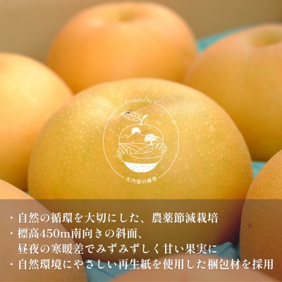【晴れ箱】由布市産 庄内梨 約3kg|旬のおまかせ便・樹上完熟・農家直送・期間限定|庄内梨の藤原