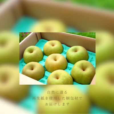新高3kg 旬の甘熟梨　自然の恵みいっぱい　期間限定　農家直送　庄内梨の藤原 由布市特産品