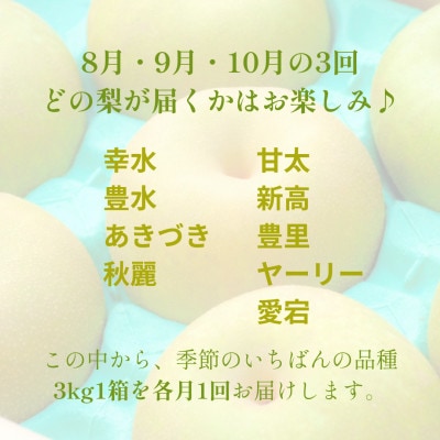 【発送月固定定期便】季節をめぐる庄内梨 |8・9・10月|樹上完熟・農家直送全3回