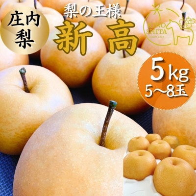 庄内梨 新高 5kg(5～8玉) 大分県由布市