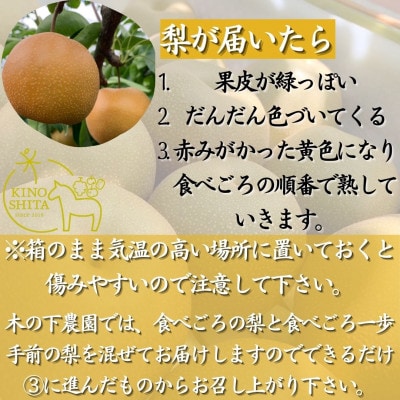 庄内梨 新高 5kg(5～8玉) 大分県由布市