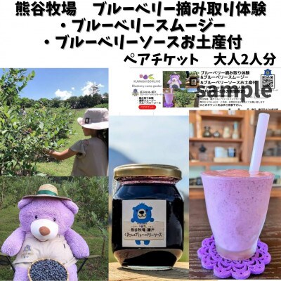 ブルーベリー摘み体験　ブルーベリースムージー・ブルーベリーソースお土産付き　大人2人分ペアチケット