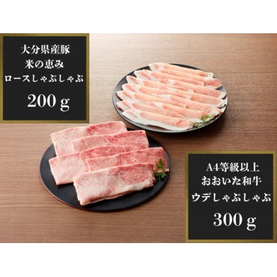 百年の恵みおおいた和牛A4等級以上300gと大分県産豚米の恵み200gのしゃぶしゃぶセット計500g