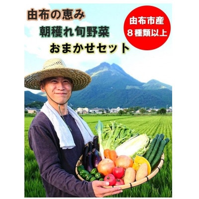 由布の恵み【新鮮 朝穫れ旬野菜!約8種類!】おまかせお楽しみセット