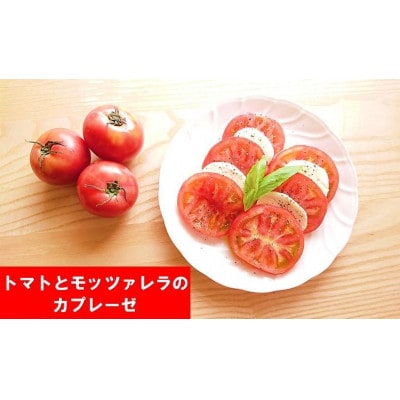 由布の恵み【新鮮 朝穫れ旬野菜!約8種類!】おまかせお楽しみセット