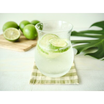 【小野酒造】果実酒 2種 計2本 飲み比べセット(小野屋のかぼす500ml・豊後梅酒720ml)
